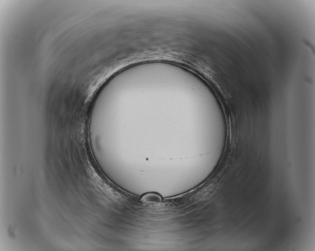 X0000103261500200809121911