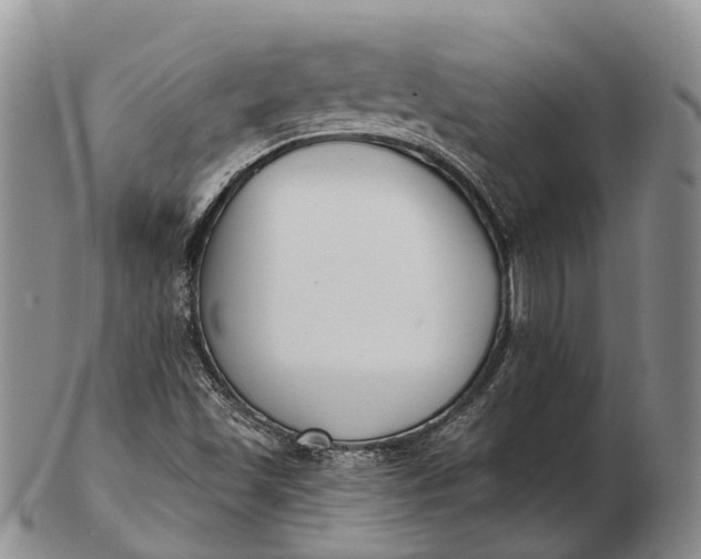 X0000103261501200809121911