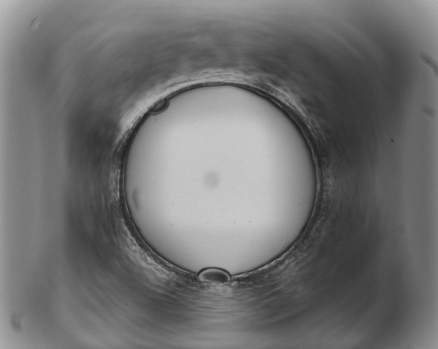 X0000103261504200809121911