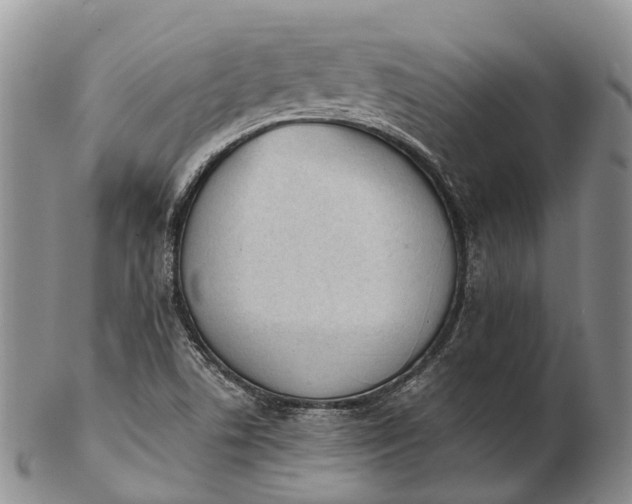 X0000103261506200809121911