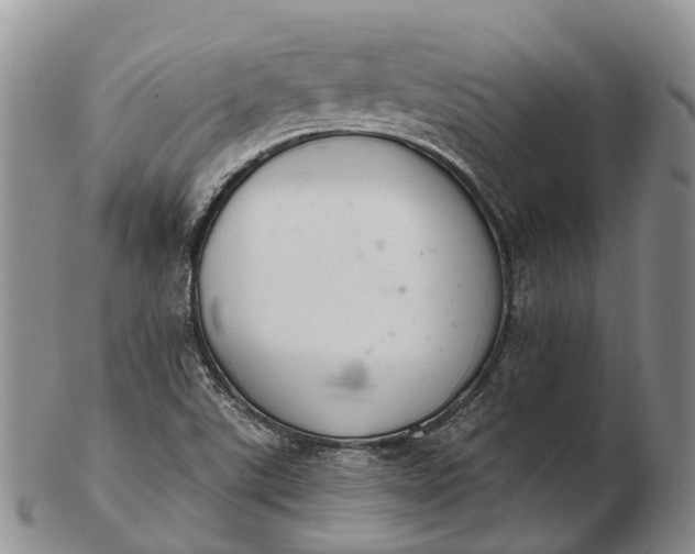 X0000103261507200809121911