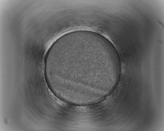 X0000103261508200809121911