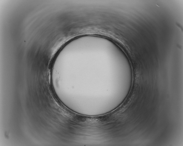 X0000103261509200809121911