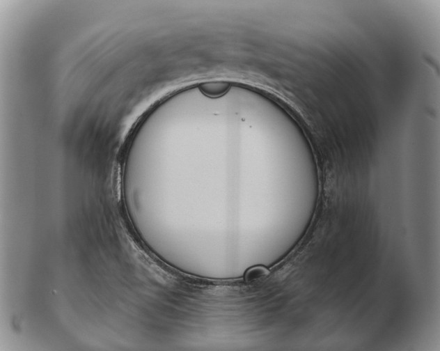 X0000103261510200809121911