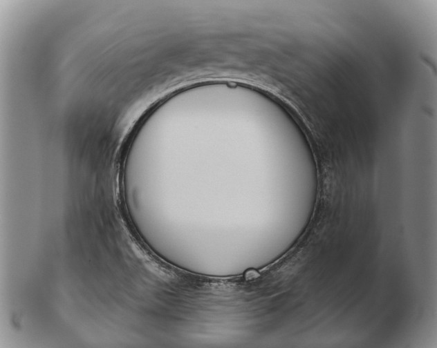 X0000103261511200809121911