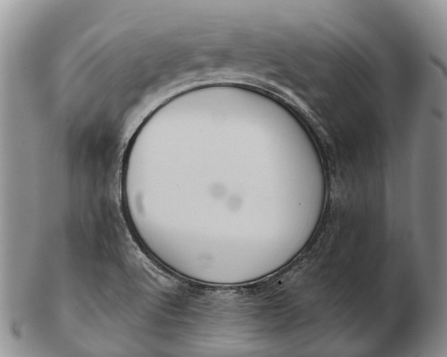 X0000103261512200809121911