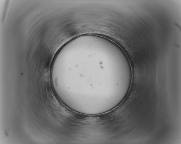 X0000103261513200809121911