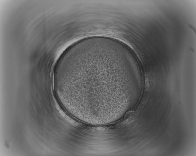 X0000103261515200809121911