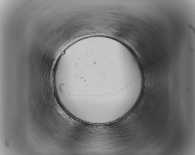 X0000103261516200809121911