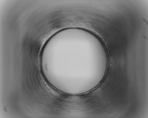 X0000103261517200809121911