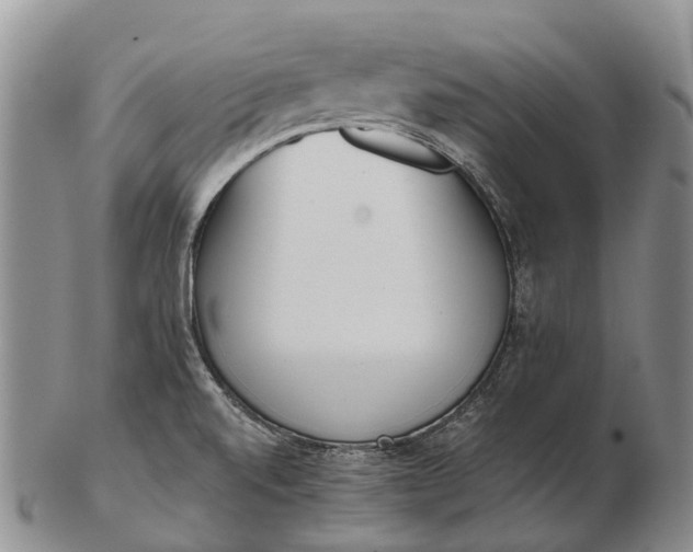 X0000103261520200809121911