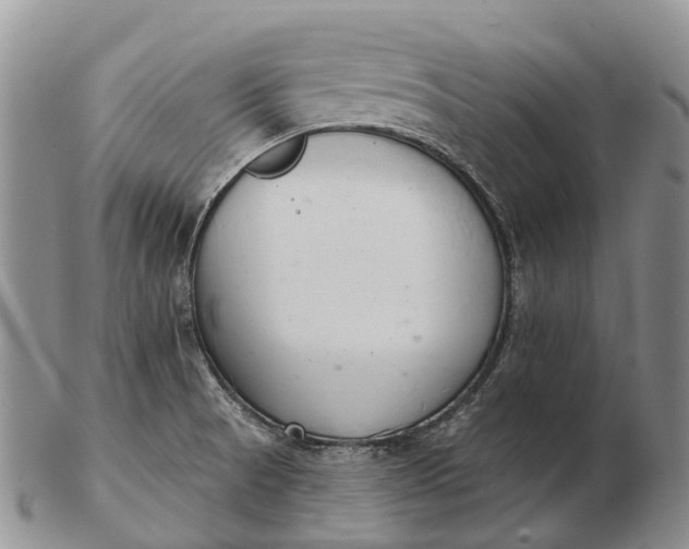 X0000103261521200809121911