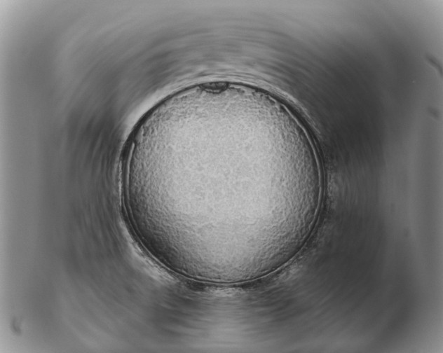 X0000103261522200809121911