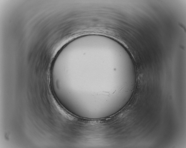 X0000103261523200809121911