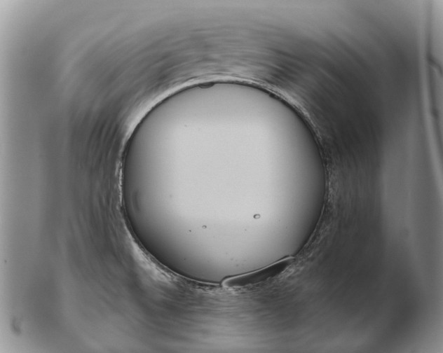 X0000103261524200809121911