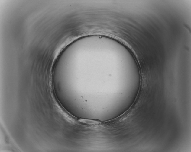 X0000103261525200809121911