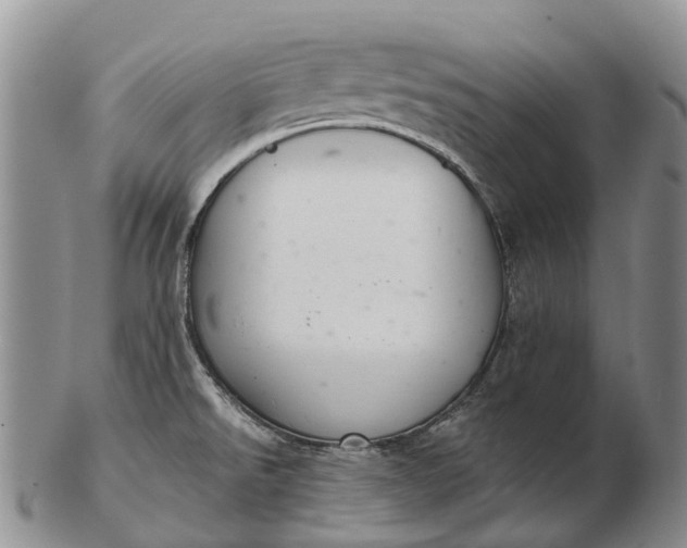 X0000103261526200809121911