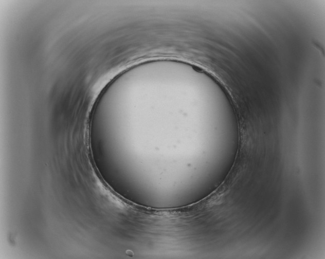 X0000103261527200809121911