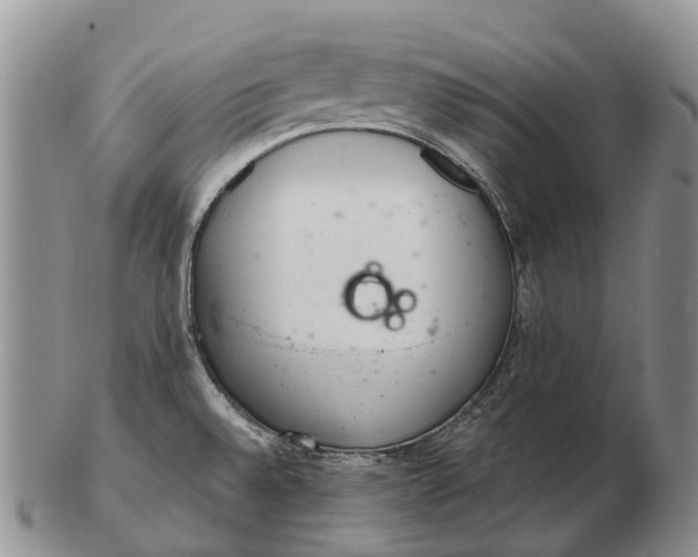 X0000103261528200809121911