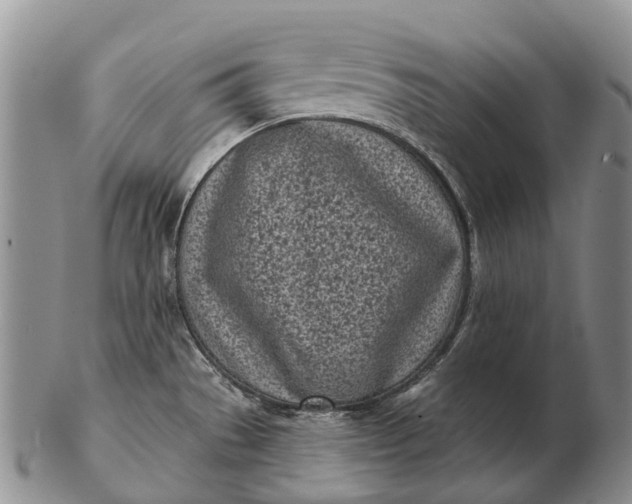 X0000103261529200809121911