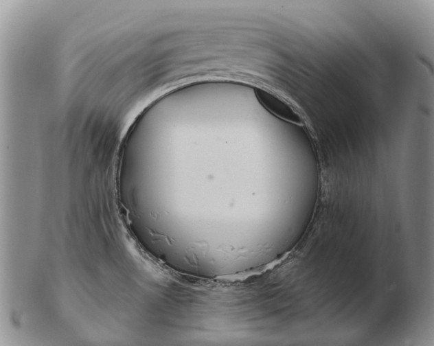 X0000103261530200809121911