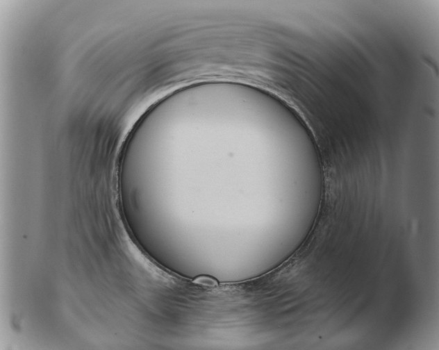 X0000103261531200809121911