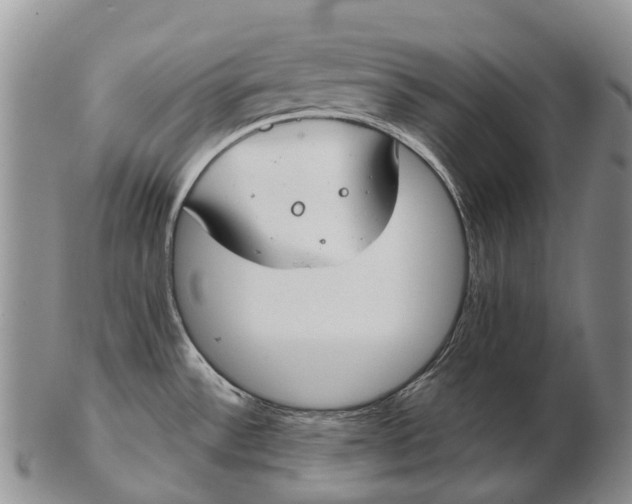 X0000103261532200809121911