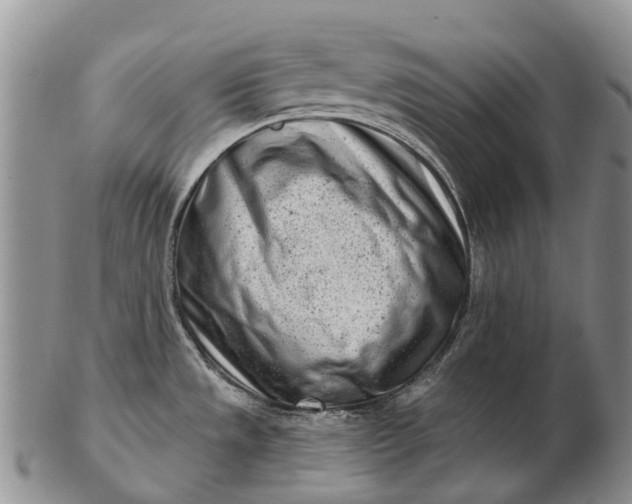 X0000103261533200809121911