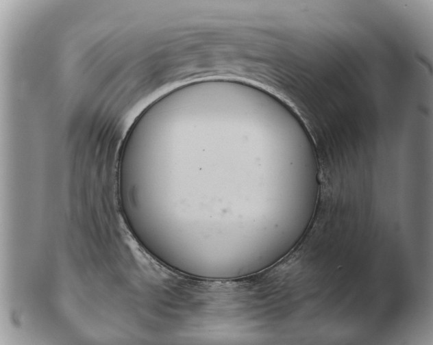 X0000103261534200809121911