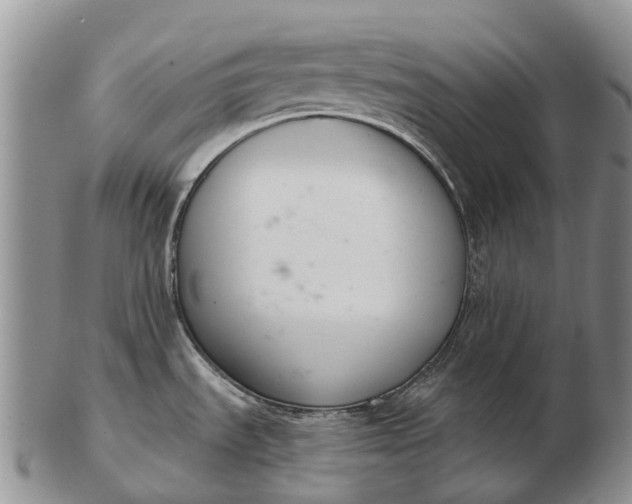 X0000103261535200809121911