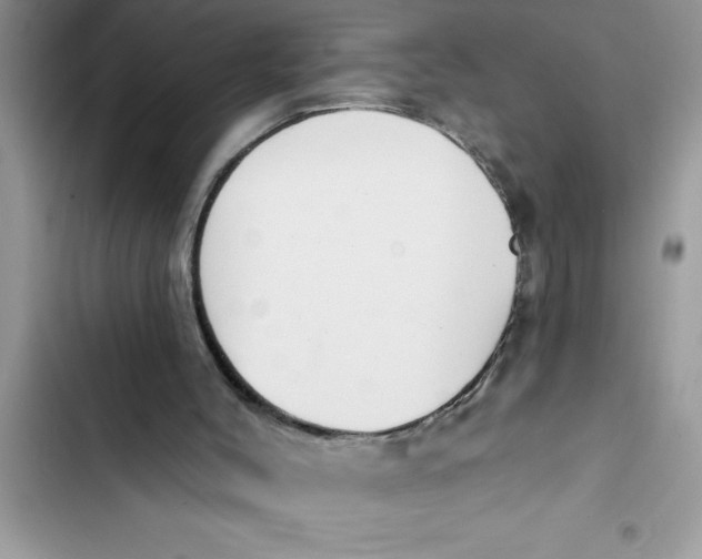 X0000103260004200809191730