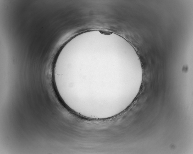 X0000103260005200809191730