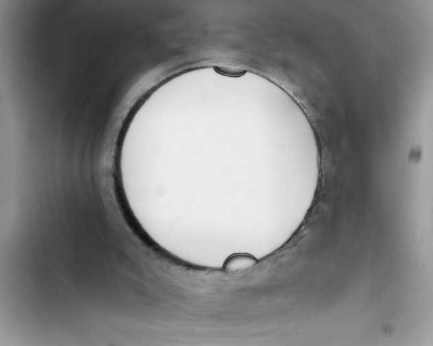 X0000103260007200809191730