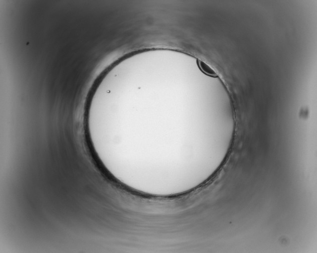 X0000103260008200809191730