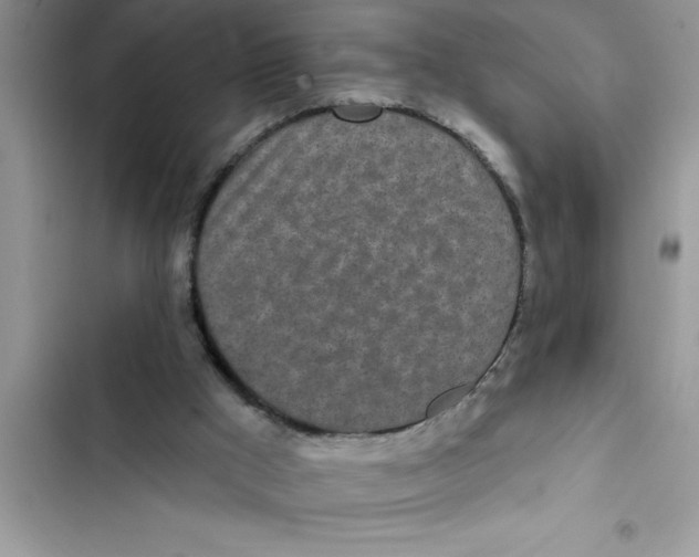 X0000103260009200809191730