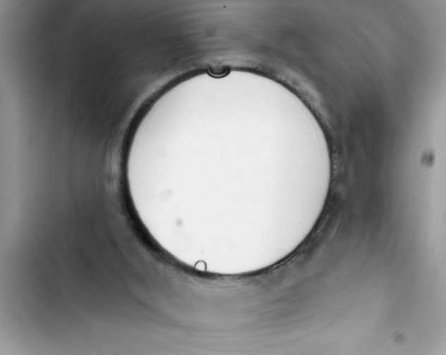 X0000103260012200809191730