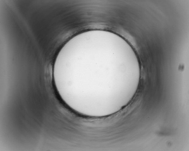 X0000103260013200809191730