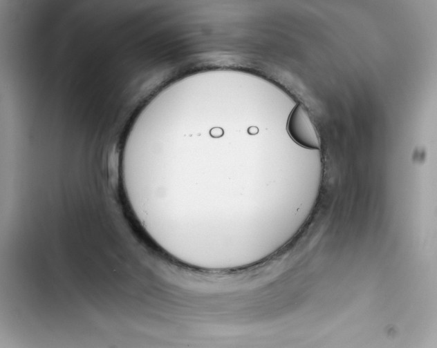 X0000103260014200809191729