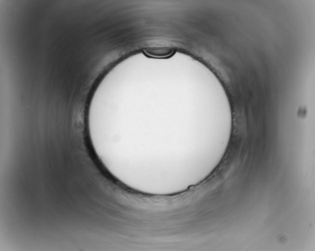 X0000103260015200809191729