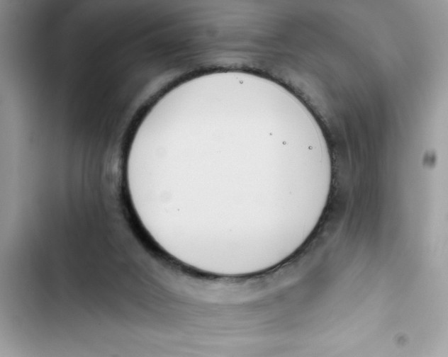 X0000103260016200809191729