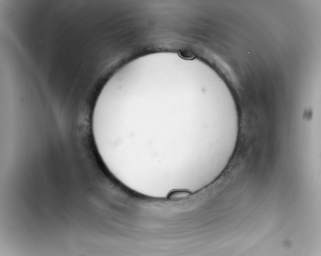 X0000103260017200809191729