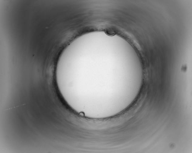 X0000103260018200809191729