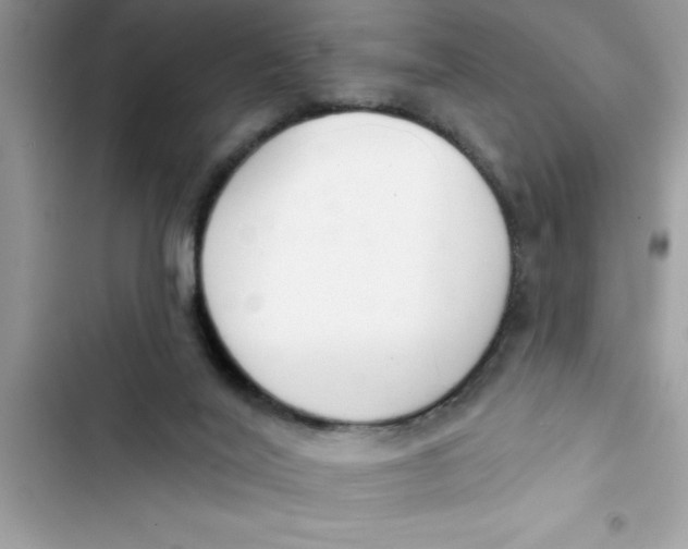 X0000103260020200809191729