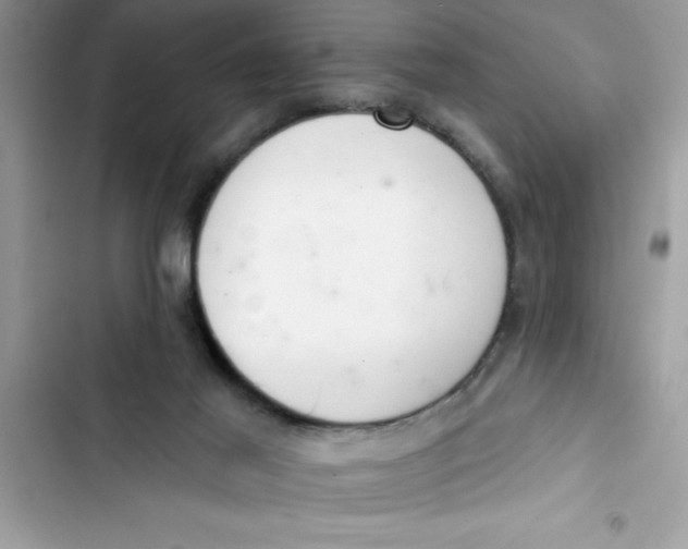 X0000103260021200809191729