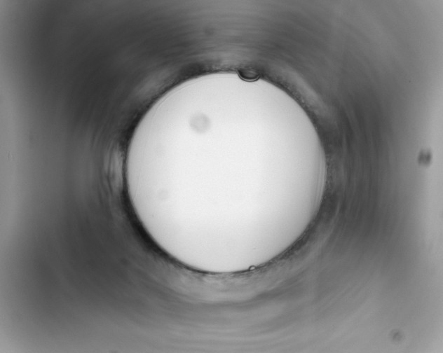 X0000103260022200809191729