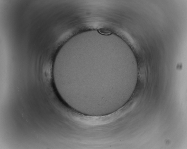 X0000103260023200809191729