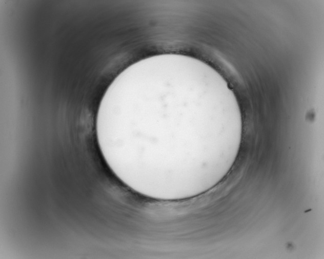 X0000103260025200809191729