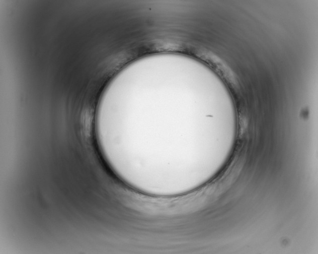 X0000103260026200809191729