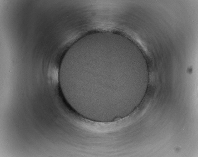 X0000103260027200809191729