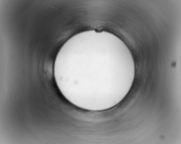 X0000103260028200809191729